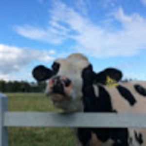 Meet your Posher, Jacqui